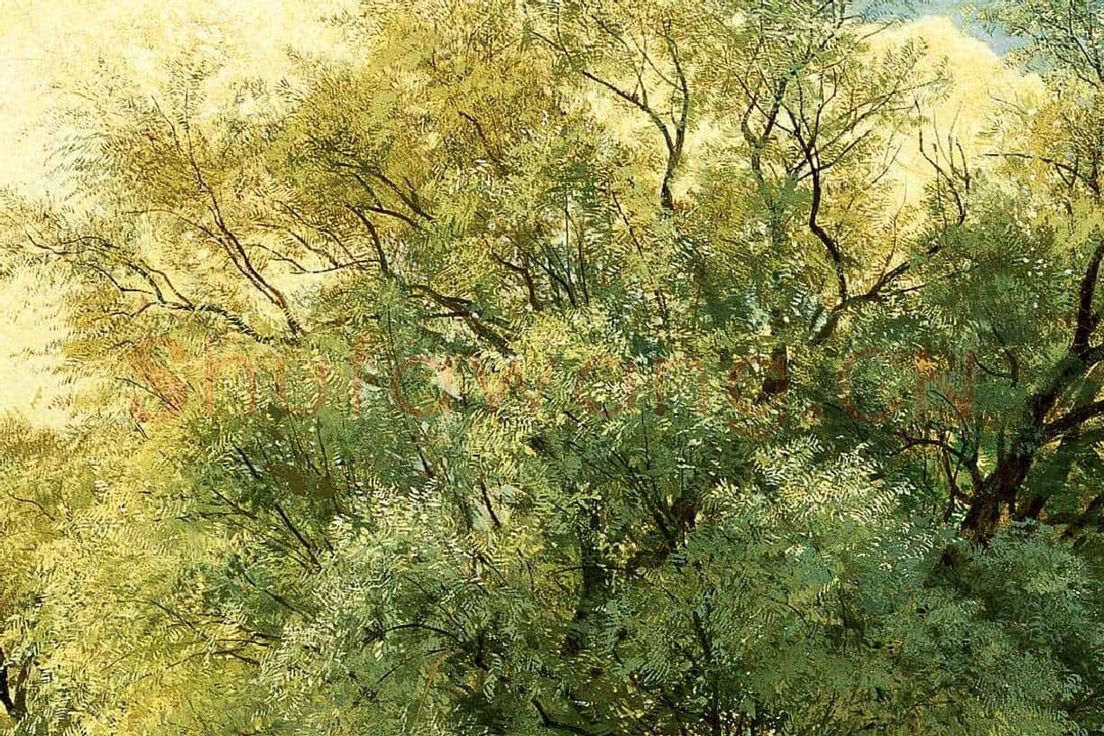 希施金油画橡树风景画局部 (5)