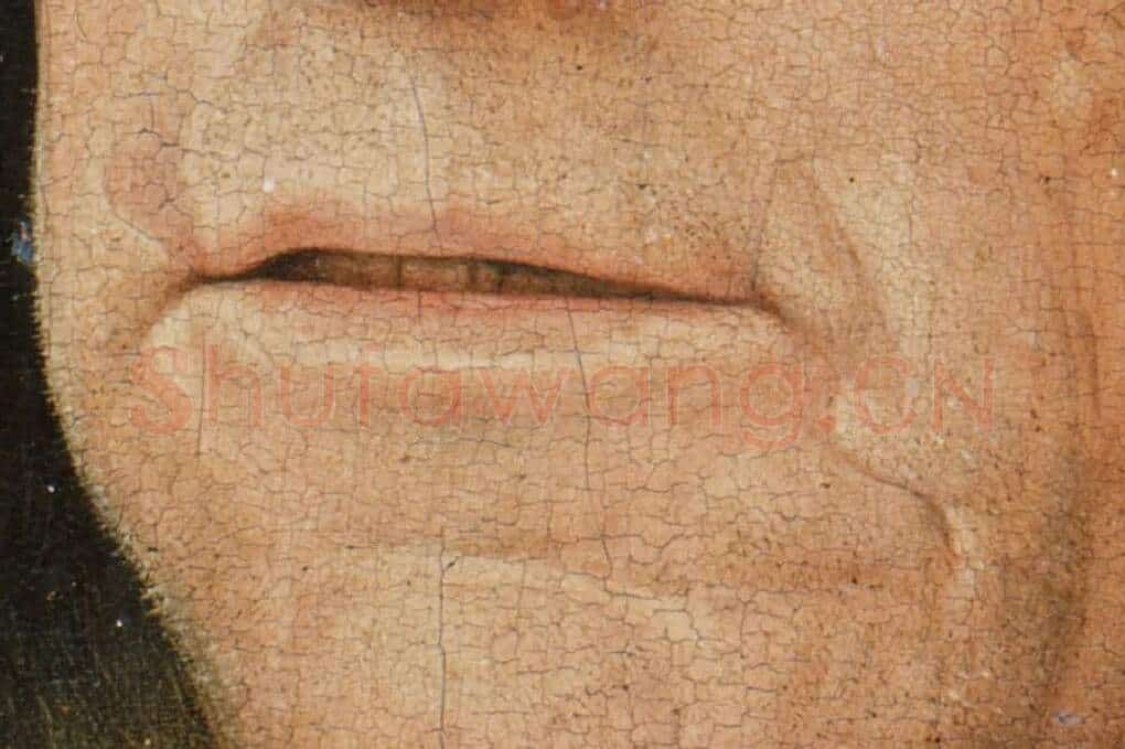 扬·凡·爱克油画头像作品《拿着康乃馨的男人肖像》局部 (3)