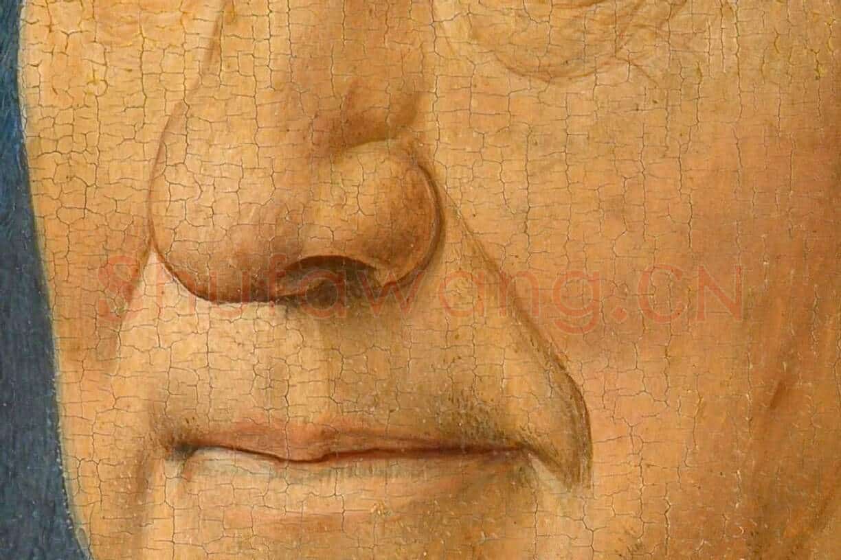 扬·凡·艾克肖像画作品《红衣主教尼科洛·阿尔贝加蒂》局部 (2)