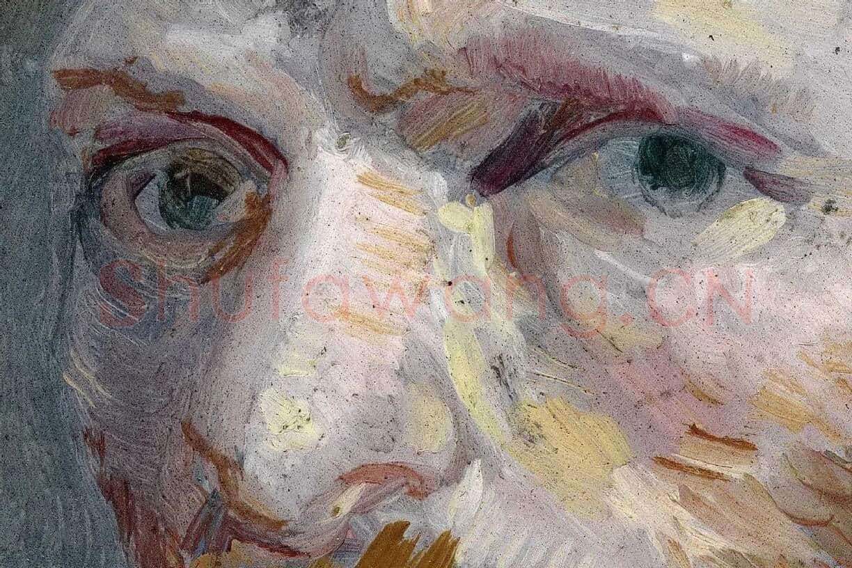 梵高自油画肖像作品《自画像》局部 (1)