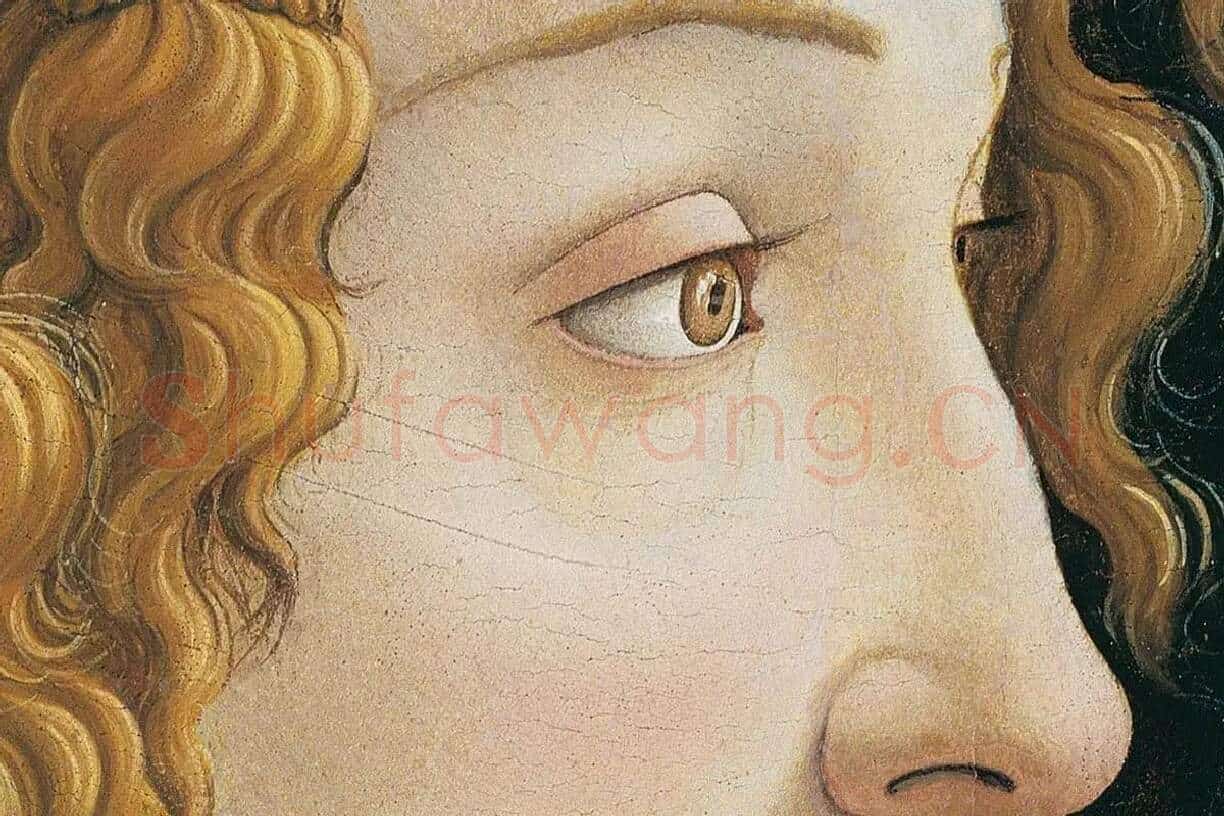 波提切利肖像画作品《西蒙内塔·韦斯普奇》局部 (1)