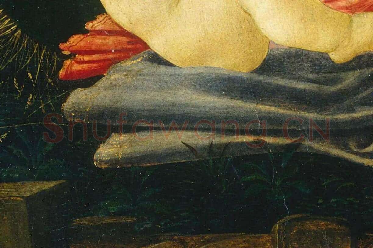 桑德罗·波提作品《圣母崇拜孩子》 (5)