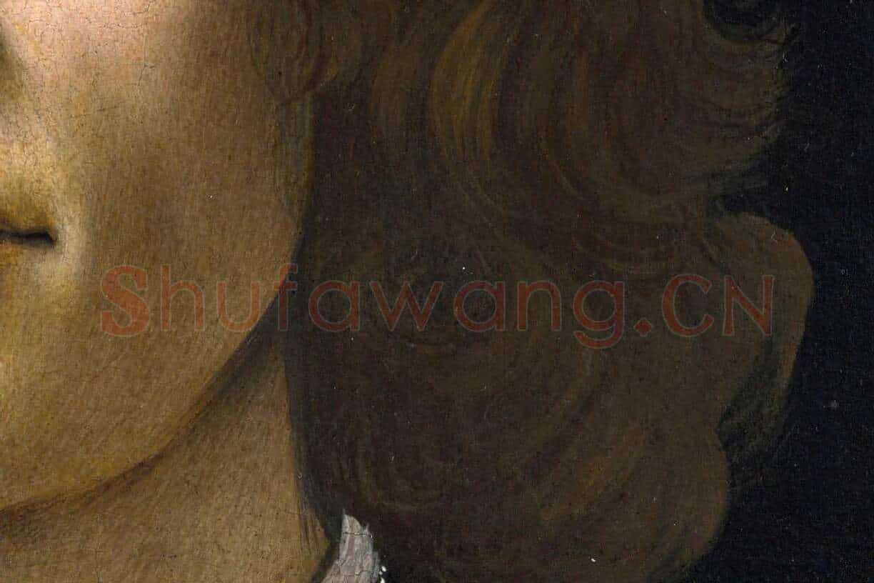 波提切利作品《年轻男子的肖像画》局部 (6)