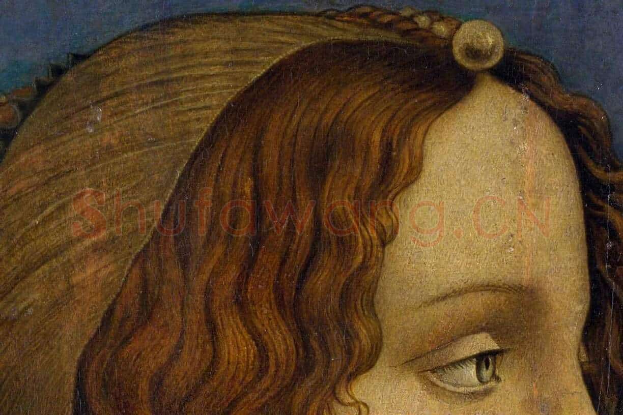 波提切利肖像画作品《侧面女士肖像》局部 (3)
