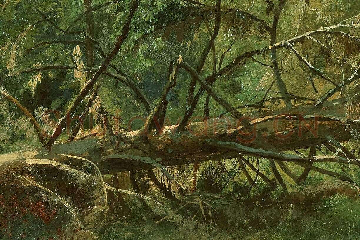 希施金森林风景画 树与树桩局部 (3)