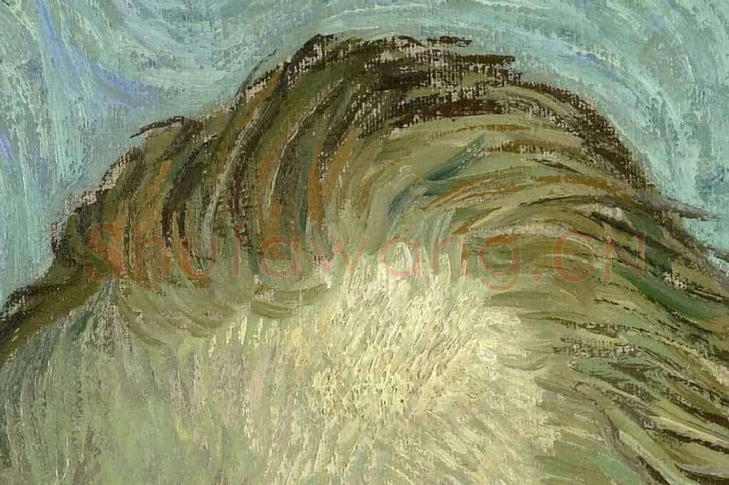 梵高自画像局部 (2)