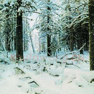 希施金油画雪景 冬天的森林