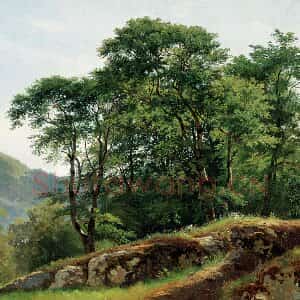 希施金油画风景《水青冈树林》